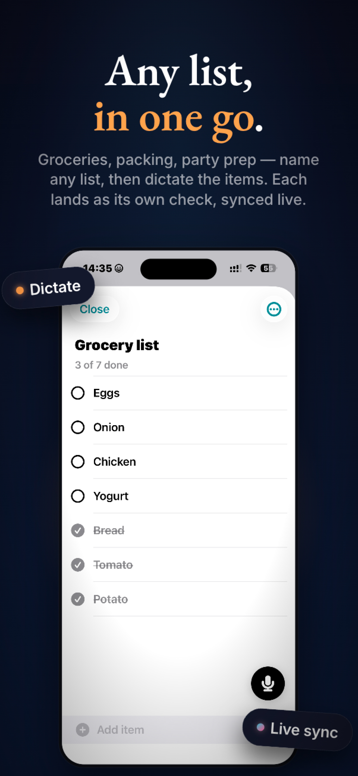 Any list, in one go — dictate items and they land as synced checks